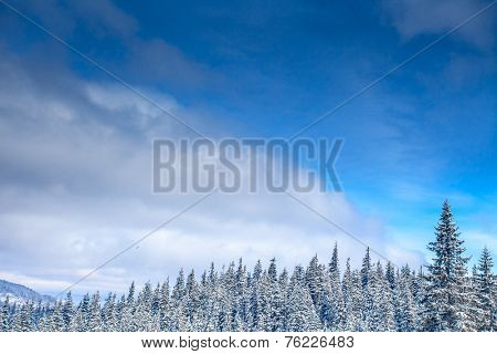 Slope on the skiing resort  in Carpathians. Ukraine