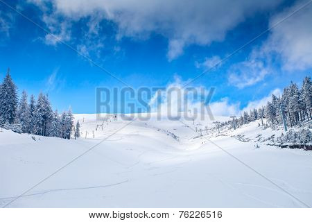 Slope on the skiing resort  in Carpathians. Ukraine