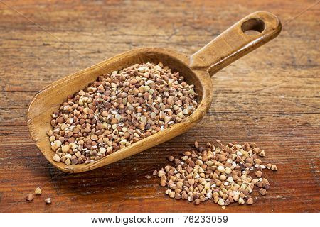 roasted buckwheat kasha on a rustic wooden scoop against grunge wood