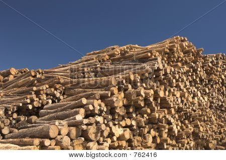 logs