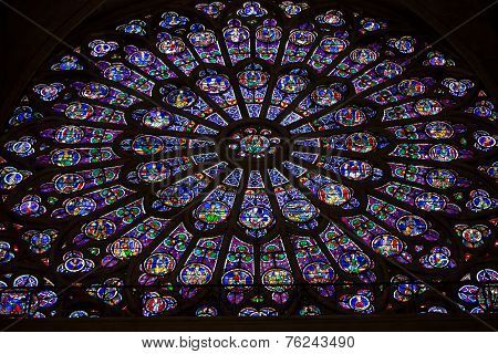 Paris Notre Dame Cathedral