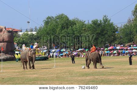 Elephant playing football