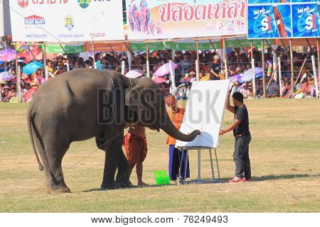 Elephant start to draw picture