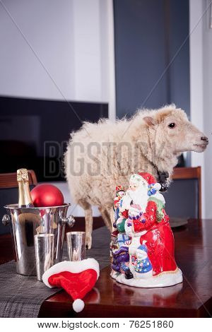 Portrait Of sheep in christmas hat On White