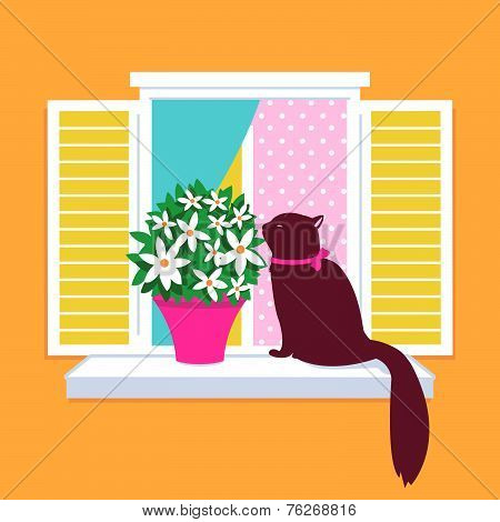 Cat sitting on a window sill