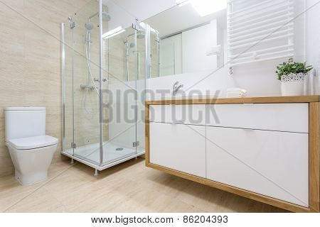 Washroom Interior In Traditional Design