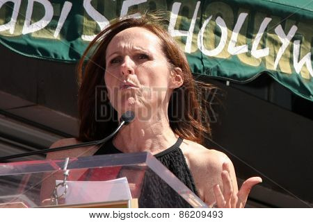 LOS ANGELES - MAR 24:  Molly Shannon at the Will Farrell Hollywood Walk of Fame Star Ceremony at the Hollywood Boulevard on March 24, 2015 in Los Angeles, CA
