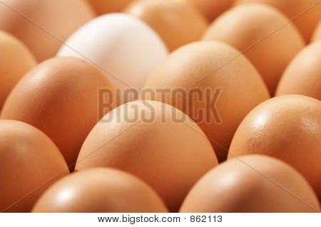 EEGs