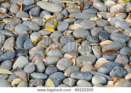 Rocks
