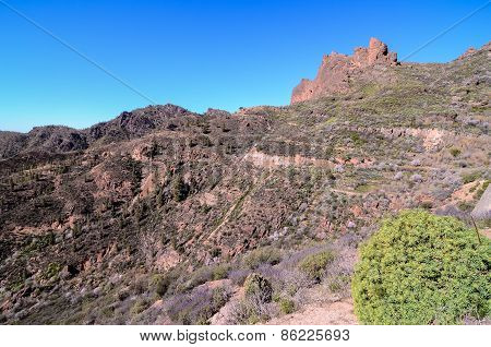 Volcanic Rock Basaltic Formation in Gran Canaria