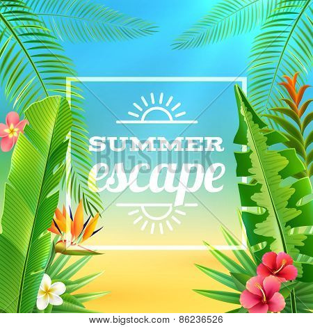 Tropical Plants Background