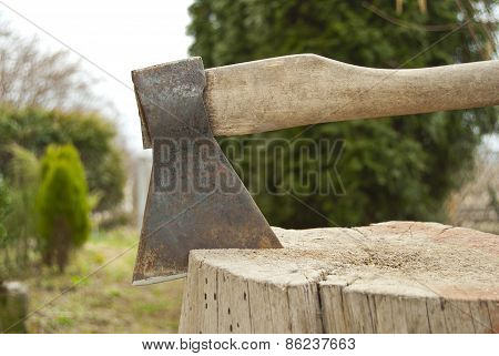 Axe Piercing Its Stump.