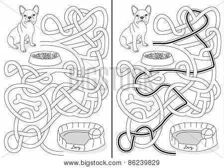 Dog Maze