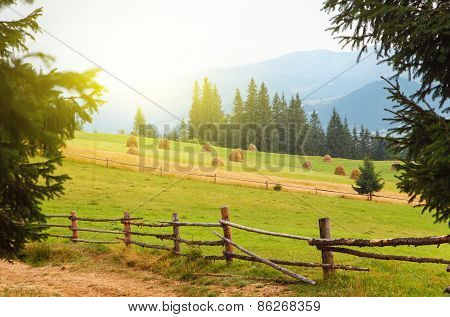 mountain landscape with shock straw