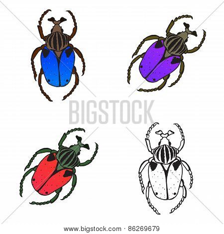 Bright Set With Colorful Bugs. Drawing Of Beetles. Insect On The Background With Gray.