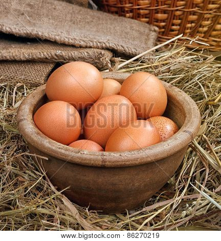 chicken easter eggs