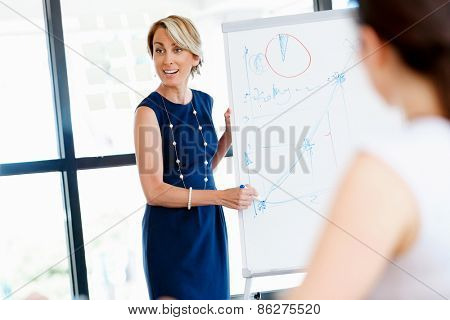 Businesswoman doing a presentaion in front of her collegues