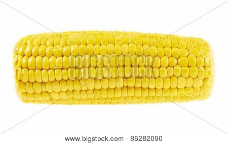 Cornstick corn on the cob isolated