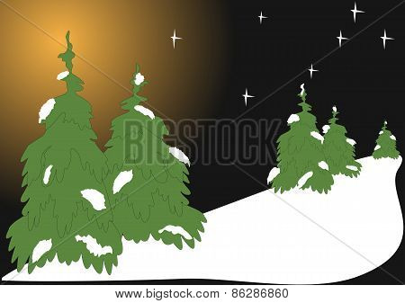 Winter Scenery