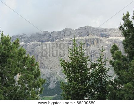 Panoramic Mountain View