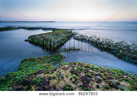 Green Stones in Tel Aviv
