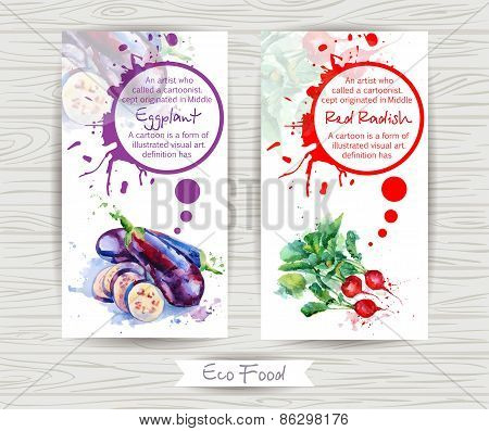 Flyer with radish and eggplant. Watercolor illustration.