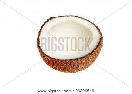 Coconut palm
