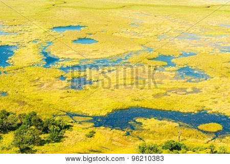 Okavango Delta Aerial View