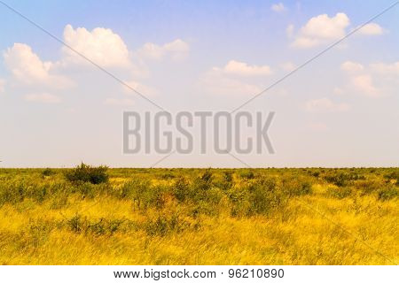 Landscape In Botswana.