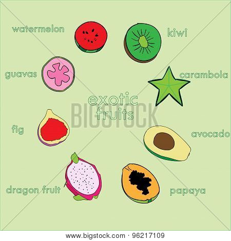 Vector exotic fruits