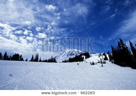 Mount Rainier 