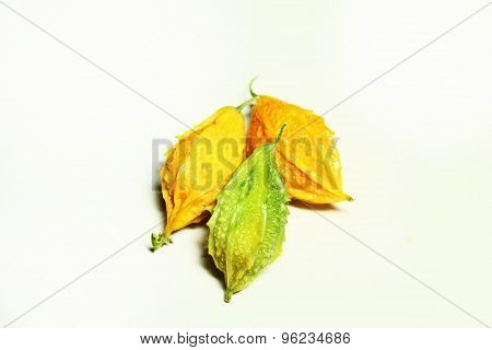 Momordica