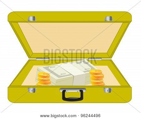 Valise with money