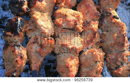 Shashlick laying on the grill closeup