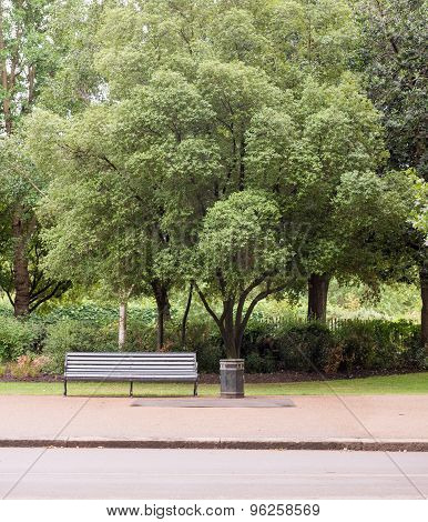 Empty Bench In Park