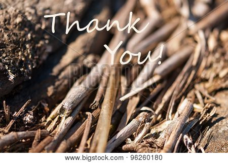 Bamboo Background Thank You