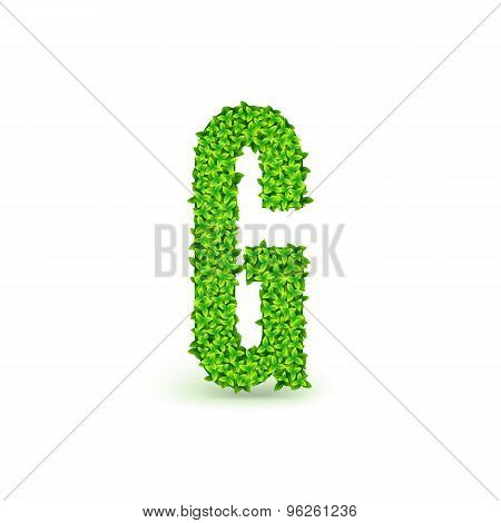 Green Leaves font G.