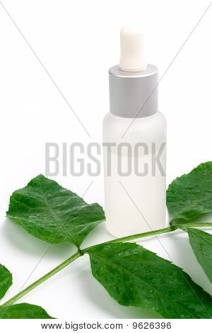 Prodotti cosmetici con foglia verde