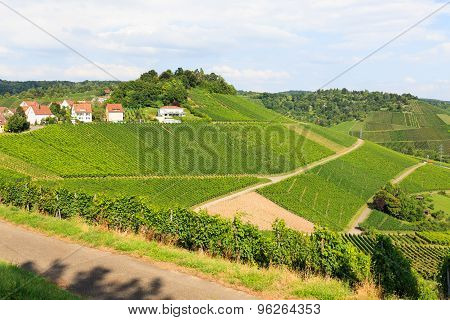 Beautiful geman wine fields landscape