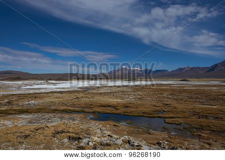 Wetland on the Altiplano