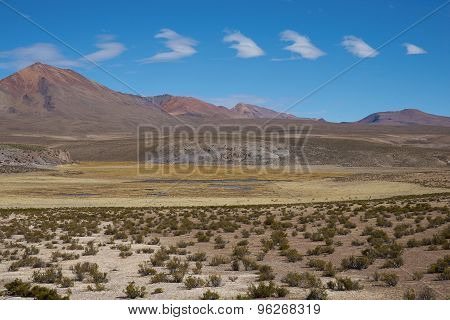 Altiplano Landscape