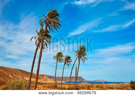 Almeria in Cabo de Gata Playazo Rodalquilar beach at Mediterranean Spain