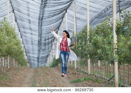 Woman Agronomist In Orchard