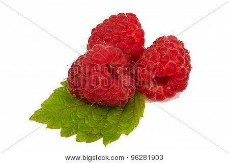 Raspberry Fruit With Leaf Sprig, Isolated Over White Background