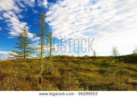 Beautiful landscape in Taimyr, Russia