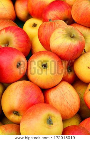 Verneuil sur Seine; France - october 16 2016 : stall of apple at the market in automn