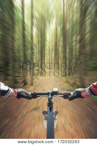 Ride on bicycle on road in summer forest. Sport and active life concept