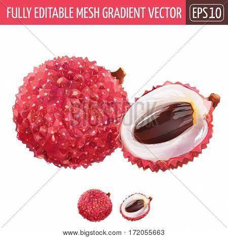 Lichee isolated realistic illustration on white background.