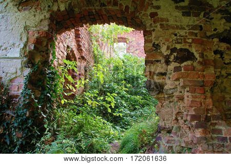 ruins, old brick building in the bushes