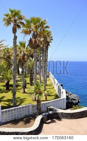 A view of Callao Salvaje coast in Adeje Tenerife